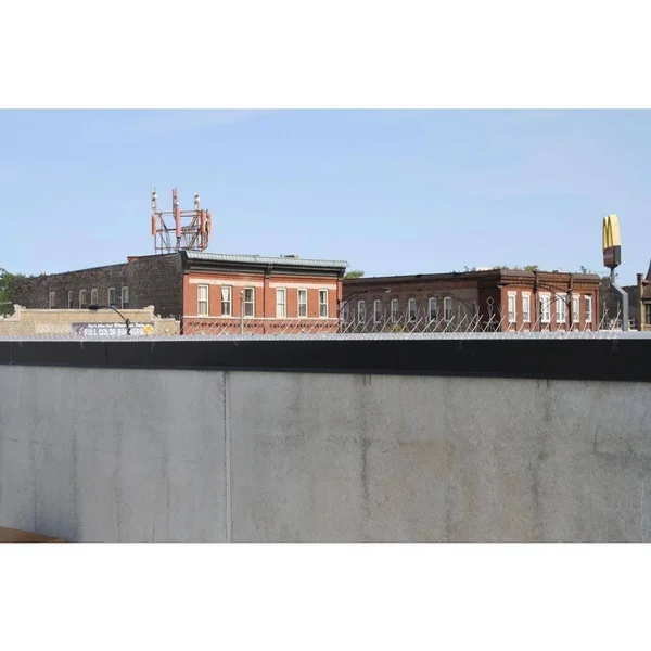 Stainless Steel Bird Spikes - 50 Feet - Bird-X - STS-50