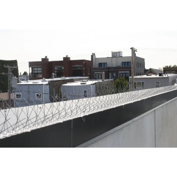 Stainless Steel Bird Spikes - 50 Feet - Bird-X - STS-50