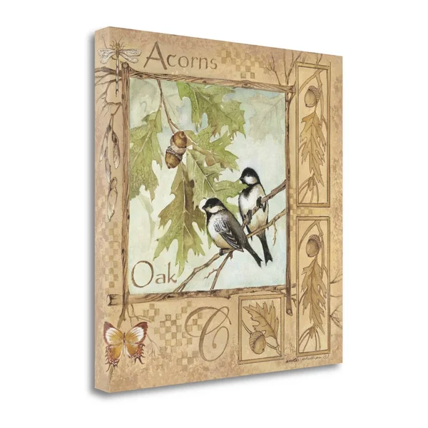 Tangletown Fine Art Acorns by Anita Phillips Canvas Wall Art