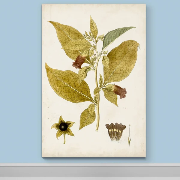 Vintage Charm VI -Premium Gallery Wrapped Canvas - 18x27