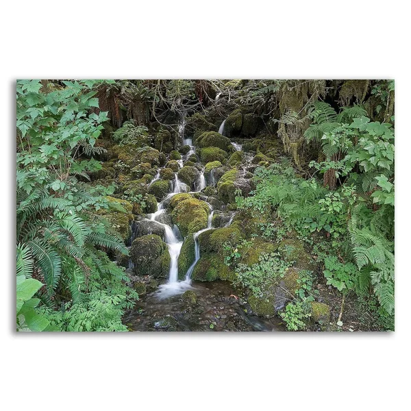 Tangletown Fine Art Fern Waterfall by Lynda White, Print on Canvas, Ready to Hang
