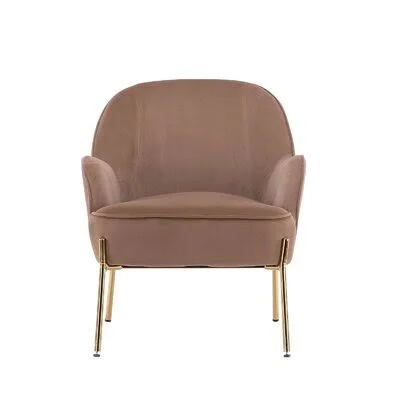 Kirsten 26x22 Wide Velvet Armchair Willa Arlo Interiors Fabric: Light Brown