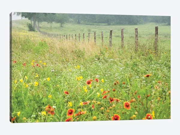 Flowers Along A Fence Canvas Artwork Print by Karin Connolly ( scenic & landscapes > Country > countrysides art)