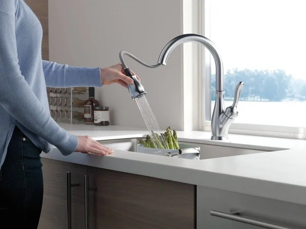 Delta Faucet 9178-AR-DST Leland Single Handle Pull-Down Kitchen with Magnetic