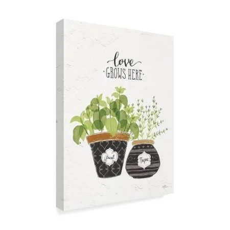 Trademark Fine Art 'Fine Herbs V' Graphic Art Print on Wrapped Canvas - White