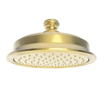 Newport Brass 2142/034 Single Function Shower Head, Aged Brass