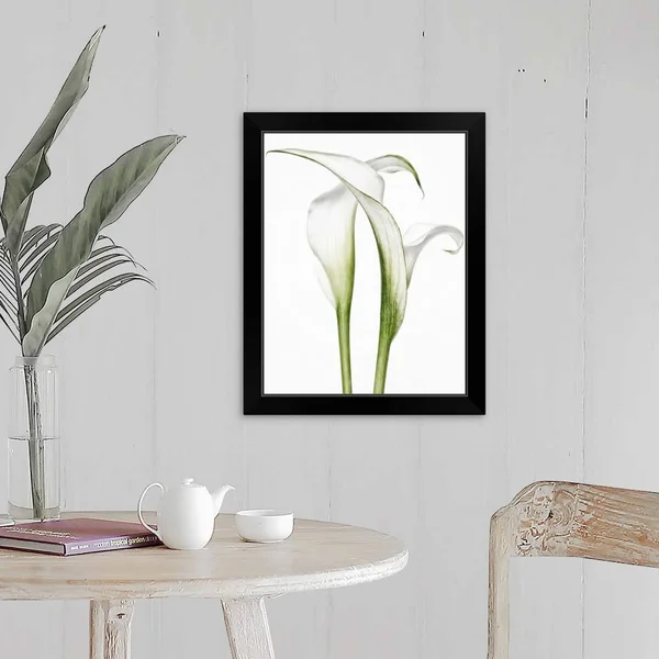 Calla Lily Pair - Black Framed Wall Art, 16x20, Great Big Canvas
