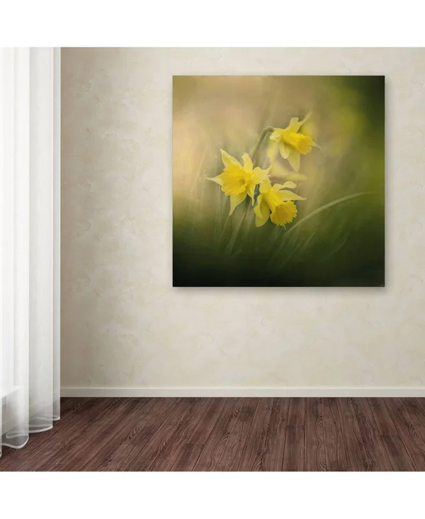 Trademark Art Jai Johnson 'A Spring Morning Welcome' Canvas Art