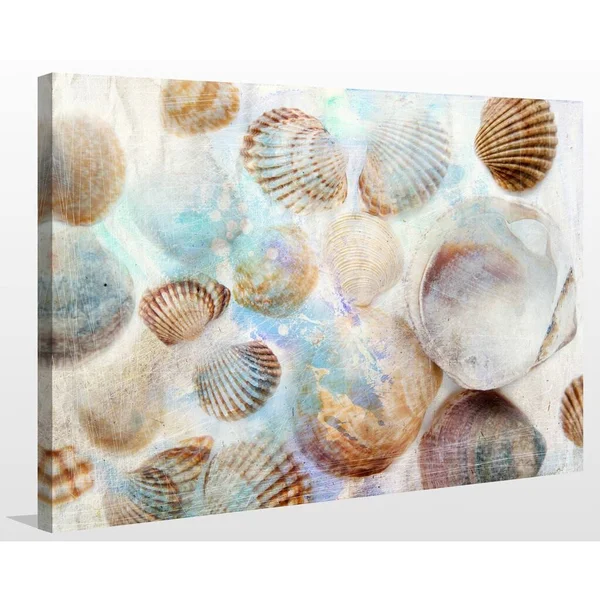 Picture Perfect International Shells 1x22 Giclee Print Canvas Wall Art - 24 Inches x 36 Inches x 1.5 Inches