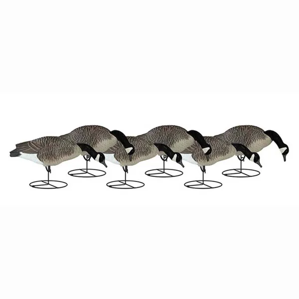 Dakota Decoy Signature Series Feeder Geese 6-Pack