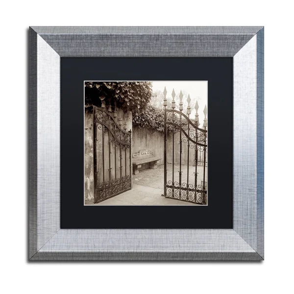 Trademark Art Alan Blaustein 'Avignon I' Framed Art