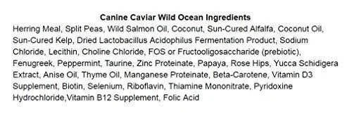 Canine Caviar Wild Ocean Holistic Grain Free Entree Dry Dog Food 11-lb