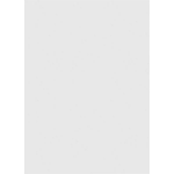 Ekena Millwork GVPVE28X4201SN 28x22W x 42x22H Vertical Surface Mount PVC Gable Vent: Non-Functional - w/ 3-1/2x22W x 1x22P Standa