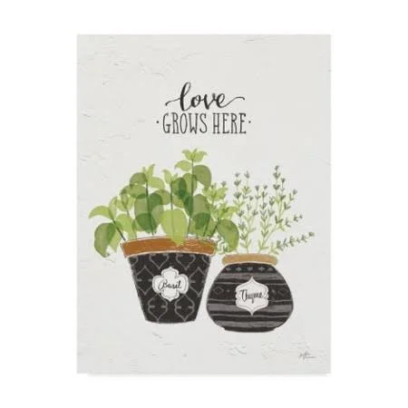 Trademark Fine Art 'Fine Herbs V' Graphic Art Print on Wrapped Canvas - White