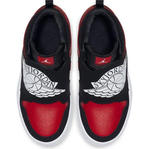 Sky Jordan 1