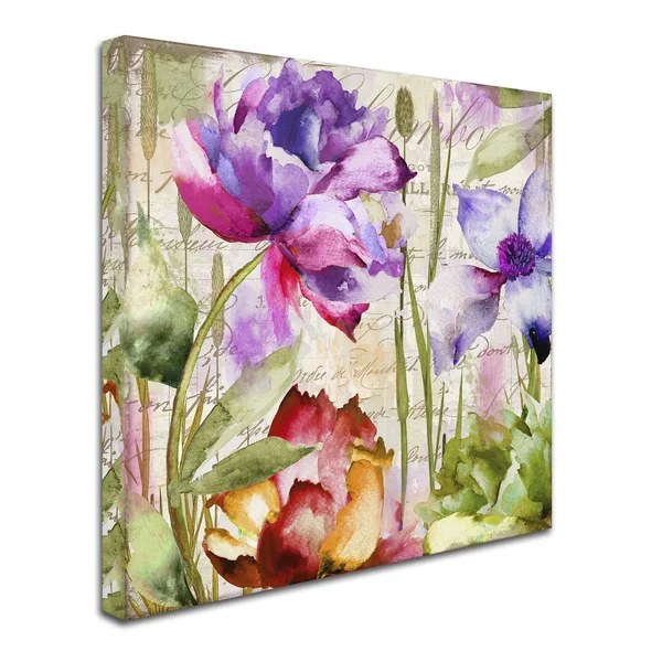Trademark Fine Art Ali4721-C3535Gg Color Bakery 'Afterglow I' Canvas A