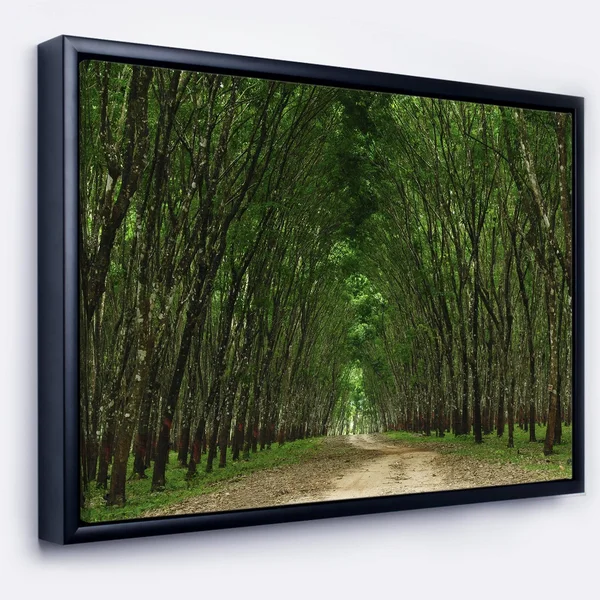 Designart 'Pathway in Thick Green Forest' Landscape Photography Framed Canvas Print 20 in. Wide x 12 in. High