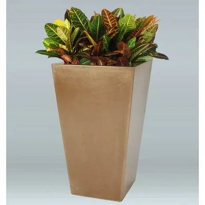 Cathal Plastic Pot Planter World Menagerie Color: Beige, Size: 29x22 H x 27x22 W x 27x22 D