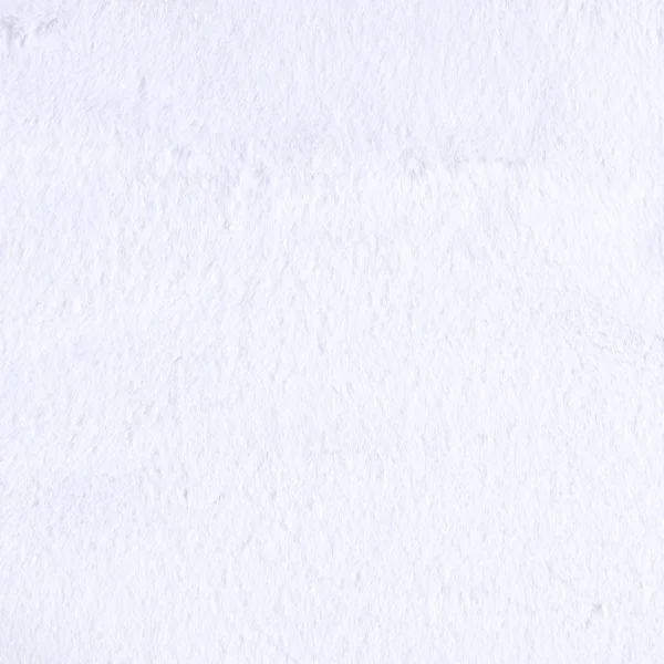 Shannon Minky Luxe Cuddle Sable Snow Fabric