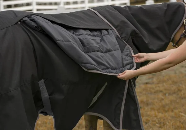 TuffRider All Season Blanket, Black, 75