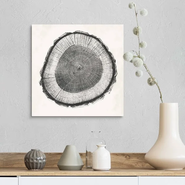 Tree Ring II - Canvas Wall Art, 16x16, Great Big Canvas