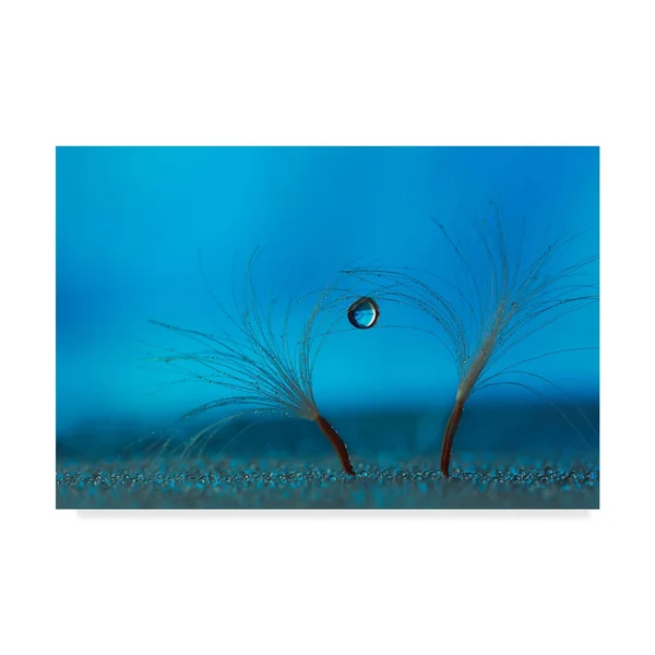 Trademark Art Heidi Westum 'Keep The Balance' Canvas Art
