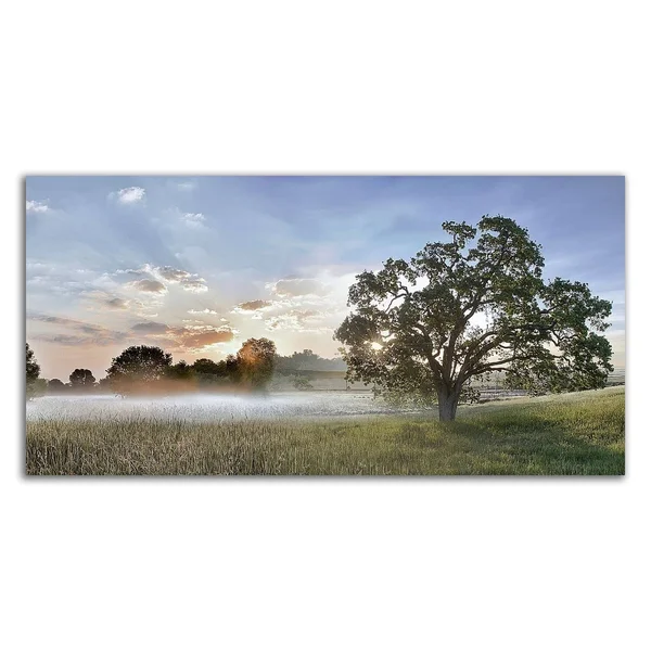 Sonoma Oak #3 by Alan Blaustein - Print on Canvas, 36x22 x 18x22