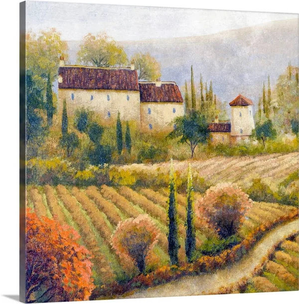 Tuscany Vineyard I - Canvas Wall Art, 20x20, Great Big Canvas
