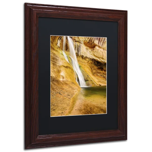 Trademark Fine Art &Desert Oasis& by Michael Blanchette Framed Photographic Print - Size: 14x22 H x 11x22 W x 0.5x22 D - Matte Co