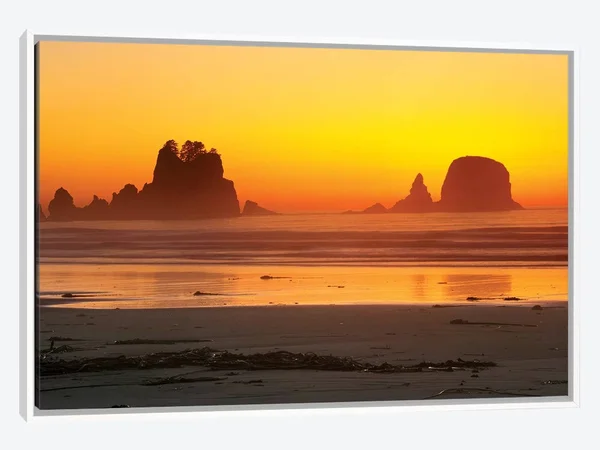 Framed Canvas Art (White Floating Frame) - Vibrant Twilight, Point of Arches, Shi Shi Beach, Olympic National Park, Washington