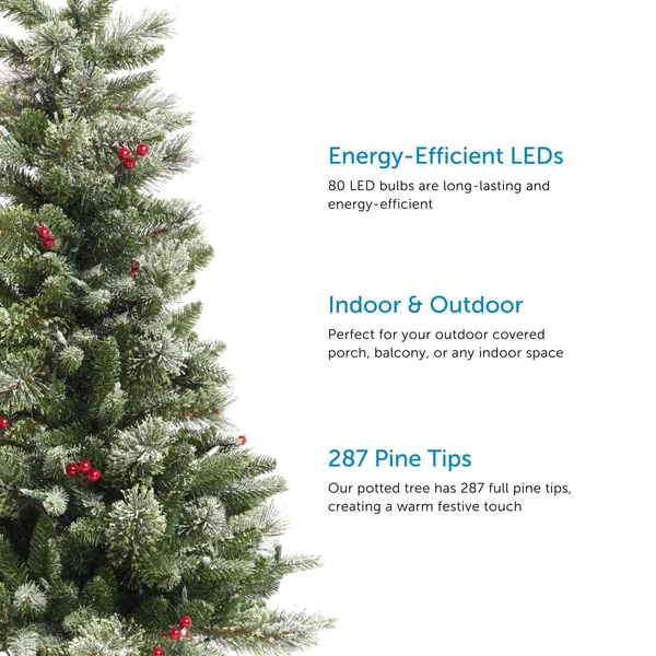 Noma 4-Foot Jackson Potted Christmas Tree, 80 Warm White LED Bulbs, 287 Pine Tips