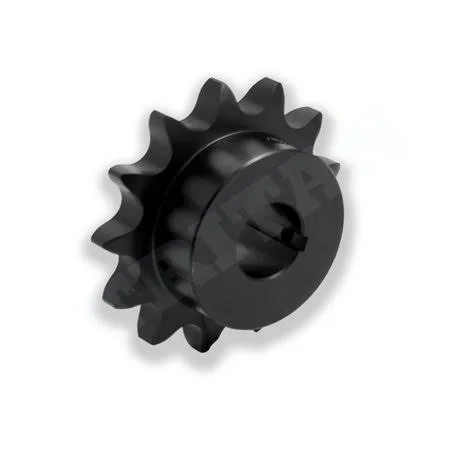 Tritan Sprocket 24BS12HX38, Metric, 1-1/2x22 Pitch, 38mm Finished Bore, 12 Teeth
