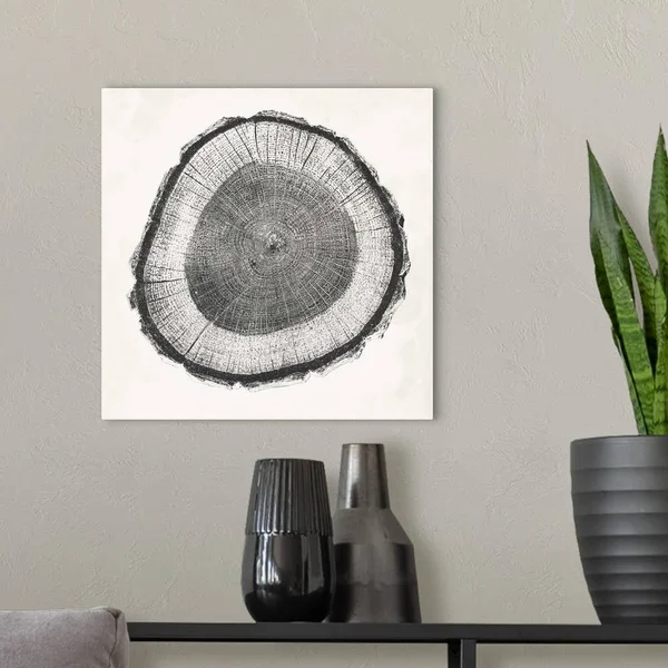 Tree Ring II - Canvas Wall Art, 16x16, Great Big Canvas