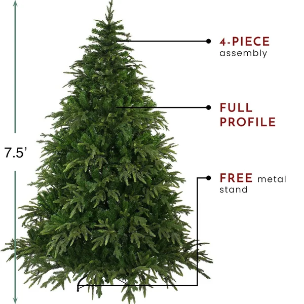 Northlight 7.5' Roosevelt Fir Artificial Christmas Tree - Unlit