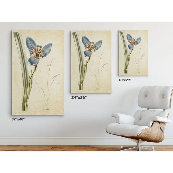 Wexford Home 'Botanical Plate I' Gallery-Wrapped Canvas Art, 18 x 24