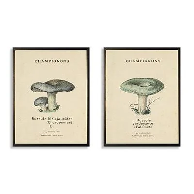 Champignon Mushrooms Framed Art Prints - Set of 2