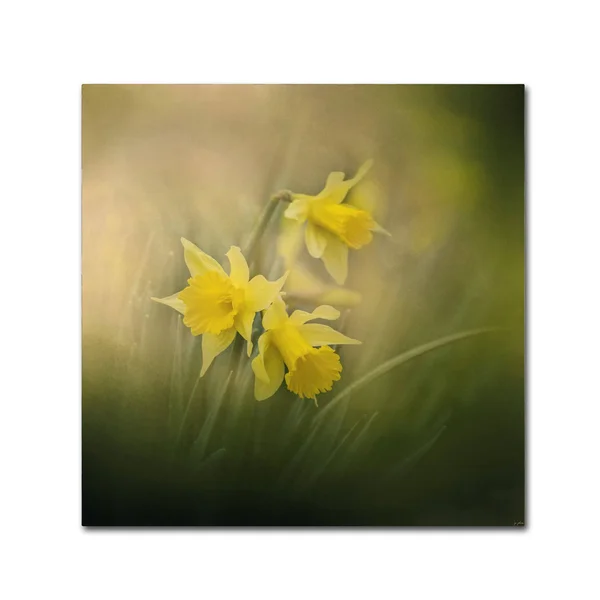 Trademark Art Jai Johnson 'A Spring Morning Welcome' Canvas Art