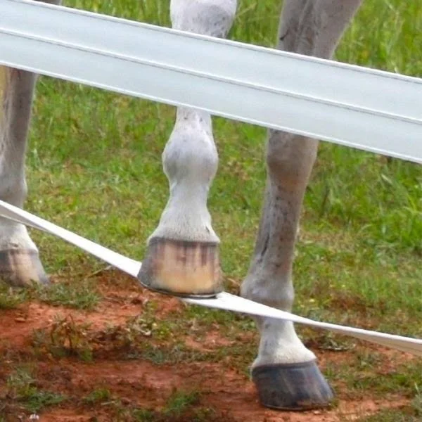 CenFlex Flexible Horse Fence Rail - 330 ft. Roll - Black