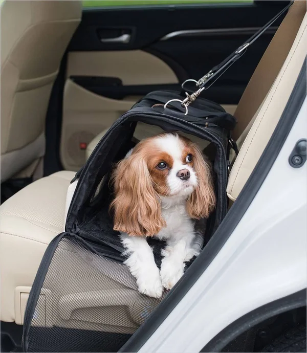 Gen7Pets Commuter Pet Carrier - Black