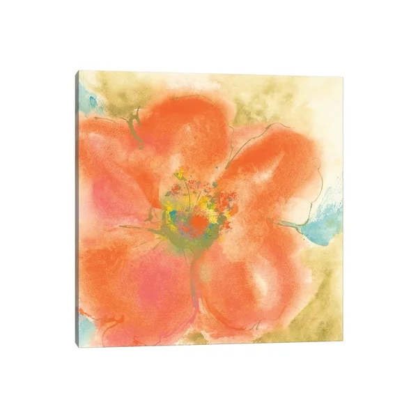 iCanvas Coral Poppy II by Chris Paschke Canvas Print - 12x12x1.5