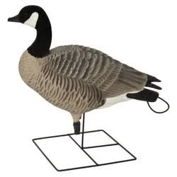 GHG XD Series Pro Grade Canada Goose Decoy Harvester Pack of 6