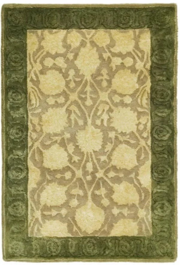 Safavieh Area RUG: Silk Road Ivory & Sage 6& x 9&