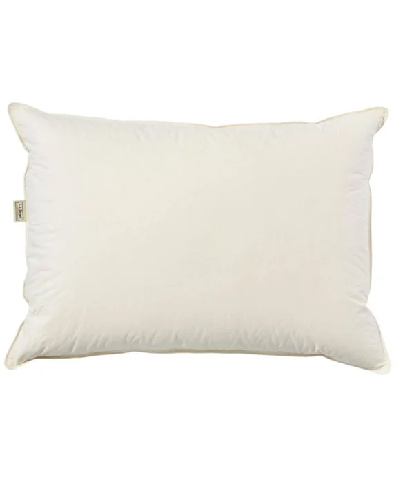 Organic Cotton Down Pillow Tan Standard Size - L.L.Bean