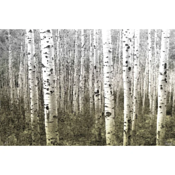 Parvez Taj Aspen Highlands Art Print on Premium Canvas 12 x 18