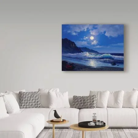Trademark Fine Art Ali20280-C3547Gg Anthony Casay &Coast Line 6& Canva