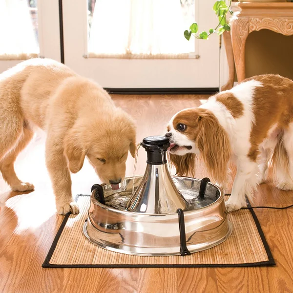 Drinkwell 360 Pet Fountain, Stainless Steel PetSafe