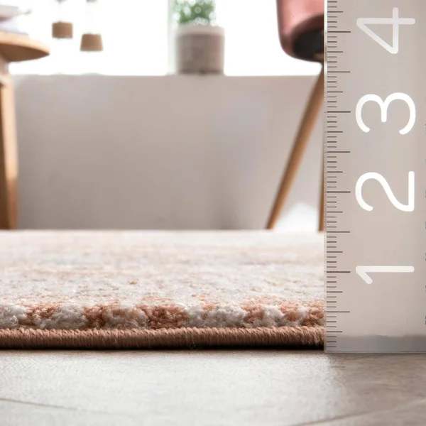 nuLOOM Rugs Vintage Kate Medallion Beige 6& 7x22 x 9& Area Rug