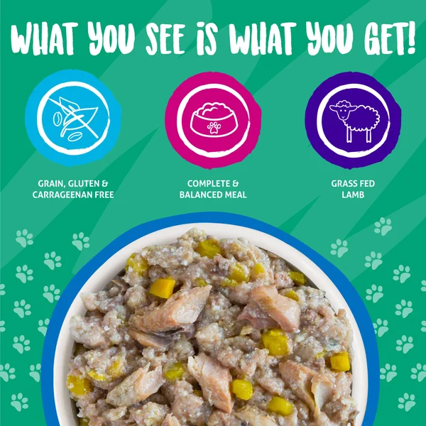Weruva Hot Dayam Luscious Lamb Canned Dog Food - 14 oz, Case of 12