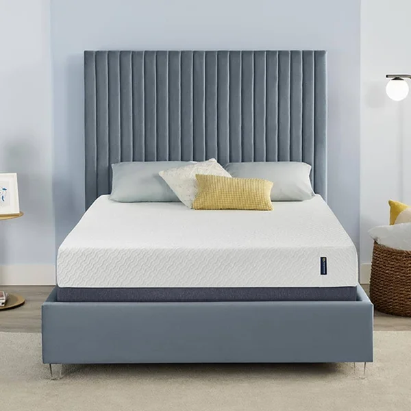 Serta Sheer Slumber 8-in Twin Memory Foam Mattress
