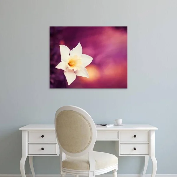 Easy Art Prints Carolyn Cochrane's 'Outburst' Premium Canvas Art - 16 x 20 - Brazilian Barnwood Frame